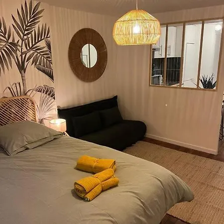 Διαμέρισμα Cosy Centre Ντιζόν
